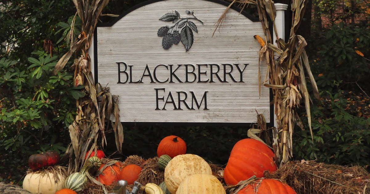 Bite Me Blackberry Farm