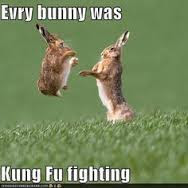 Kung fu Fghting