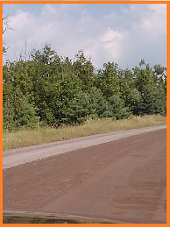 Nicely oiled dirt road through the windshield