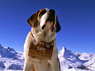 Borrachos en la nieve. Chiste de borrachos, nieve, perro, barrilito, whisky.