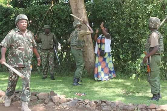 The writer identified Manifolds, Terrain, Tribalism, Harassment & Lack of Military Funding as major Operation Crocodile Smile handicaps in the fight against Avengers