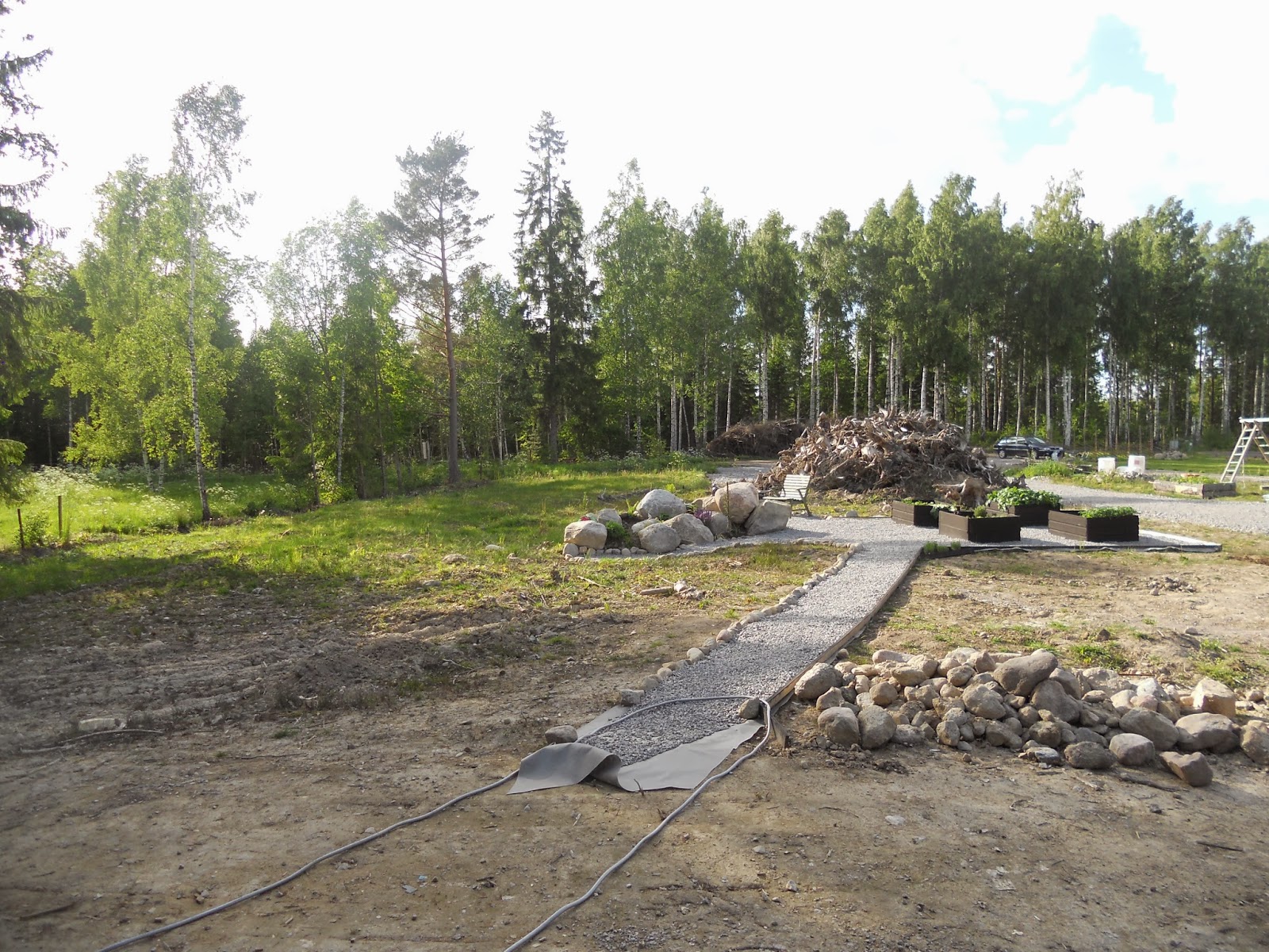 Ullevidsdal: december 2013