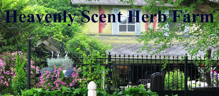Heavenly Scent Herb Farm