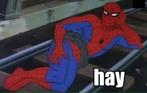 gay%2Bspiderman%2B2.jpg