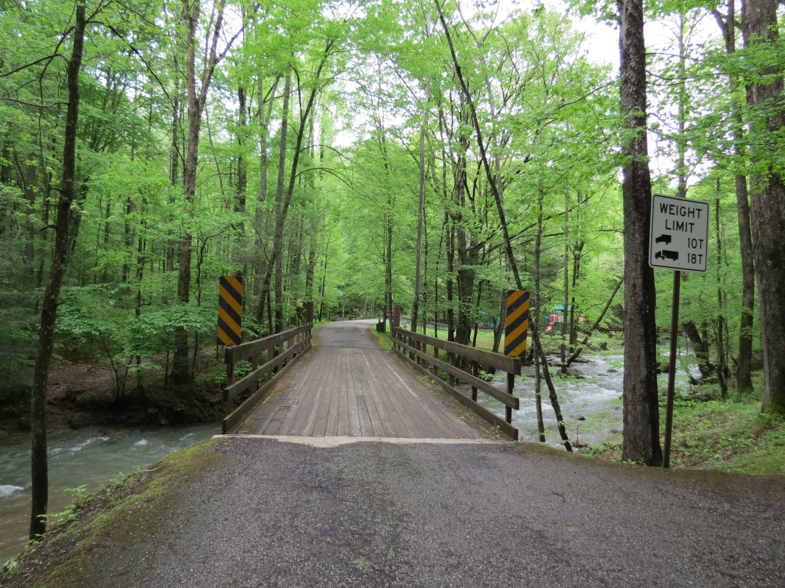 Where's Liz2013? Frozen Head State Park, TN