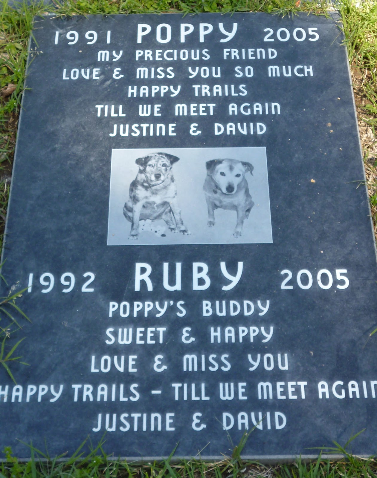 Los Angeles Pet Memorial Park in Calabasas, CA