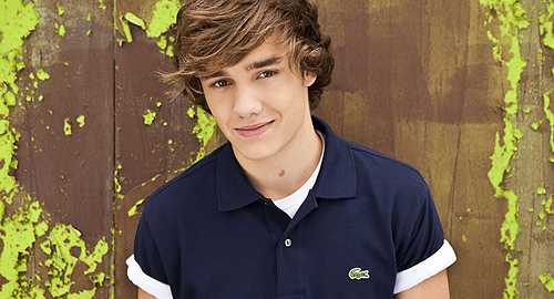 payen agama natasya steel biodata dan foto personil one direction payen agama natasya steel biodata dan foto personil one direction