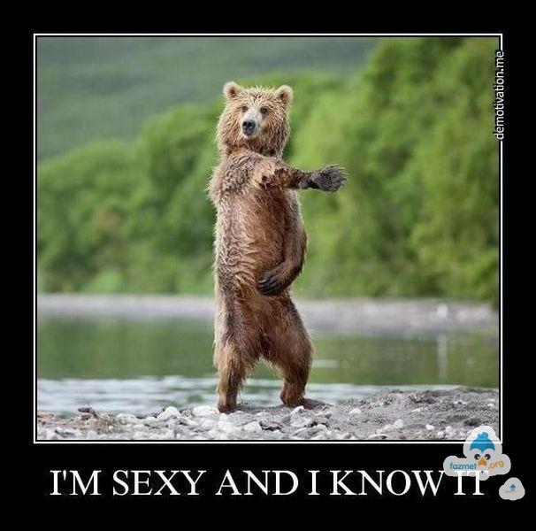 im+sexy+and+i+know+it+bear+beer.jpg