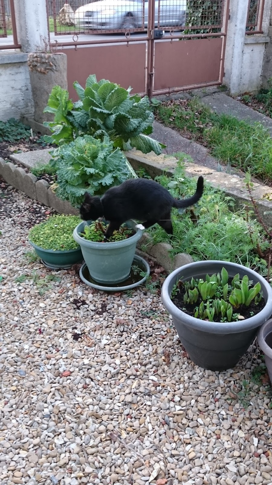 Le Pot En Terre Tout Simplement Centre De Table Pour Mariage