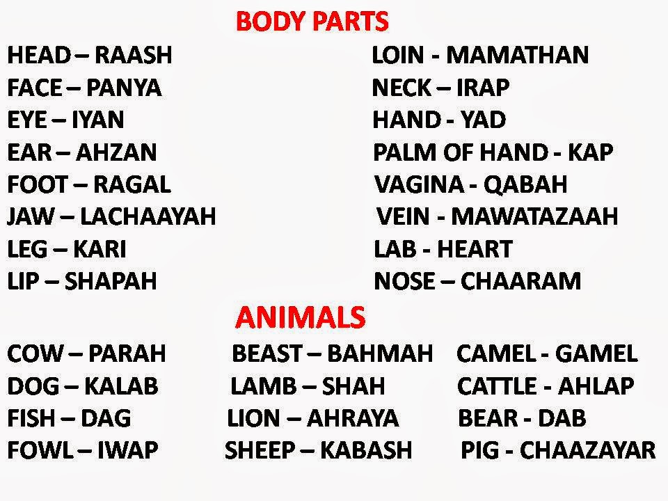 BODY PARTS AND ANIMALS