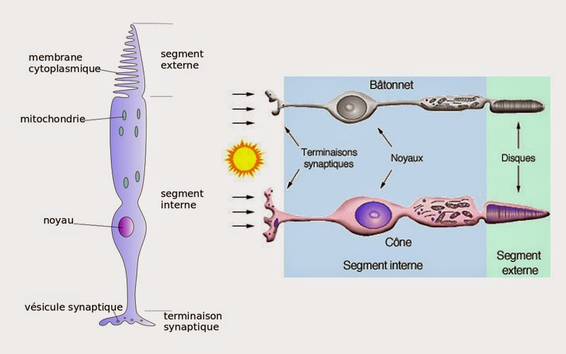 Le blognotes de la Mansarde Dyschromatopsies La balance des