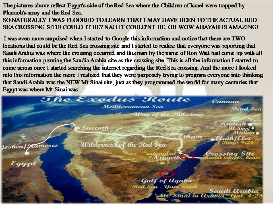 THE REAL RED SEA CROSSING PG10