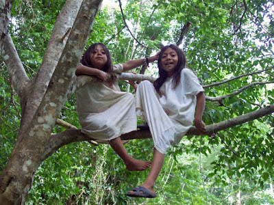 GRUPO ETNICO DE CHIAPAS grupo etnico de chiapas: