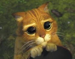 Vocabulary 16 Lessons Blendspace