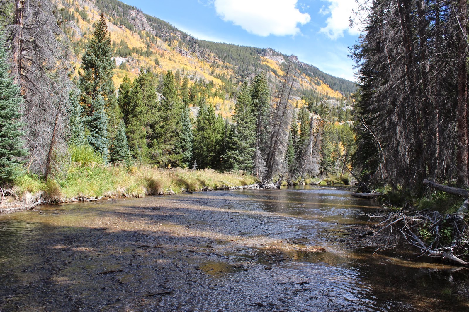 Roaring Fork River Trail