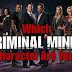 Criminal Minds :  Season 8, Episode 15