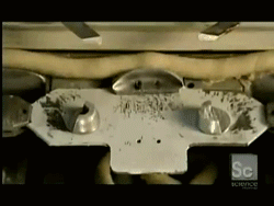 ظƒظٹظپ-%