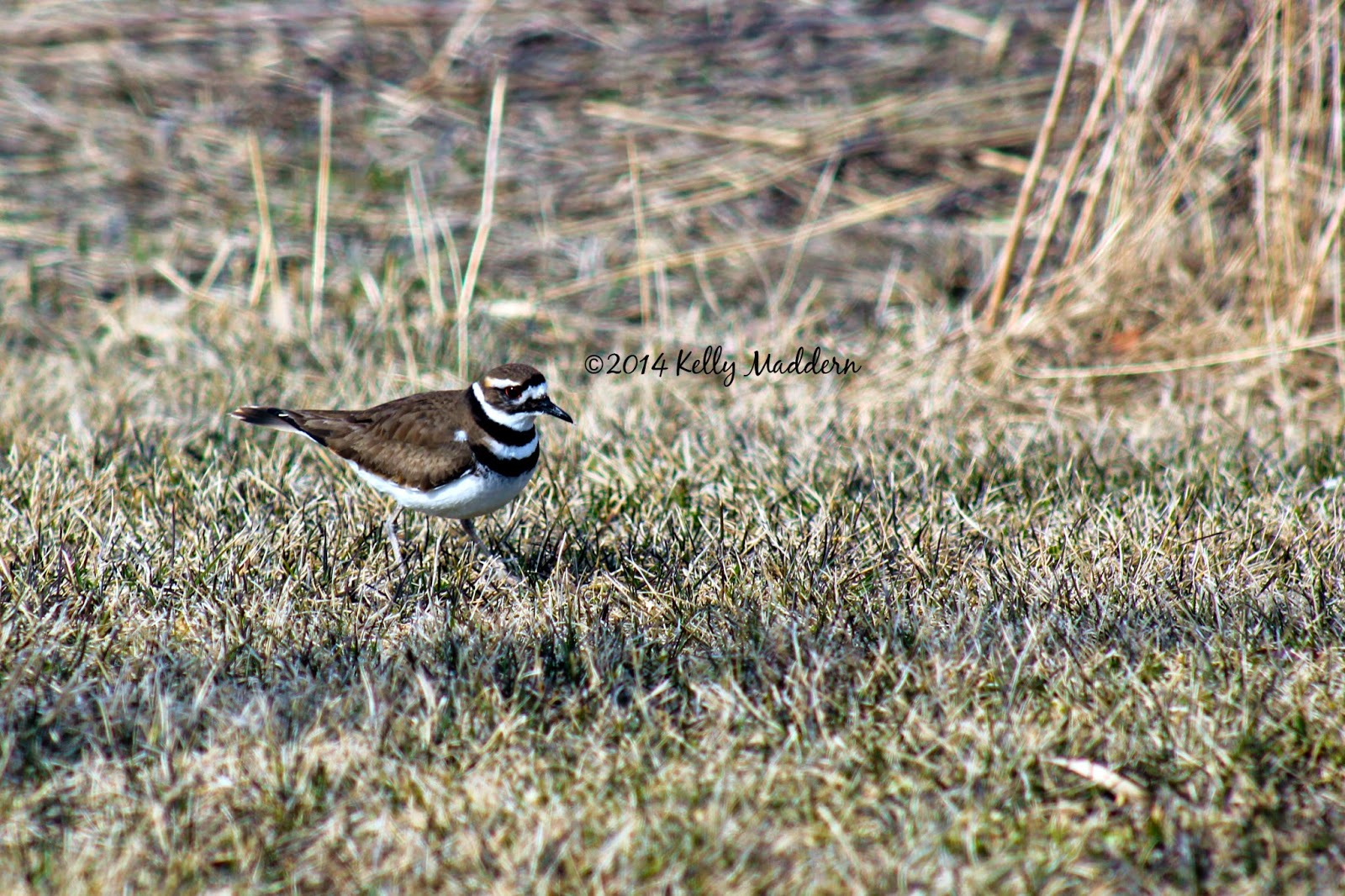 Badger State of Mind