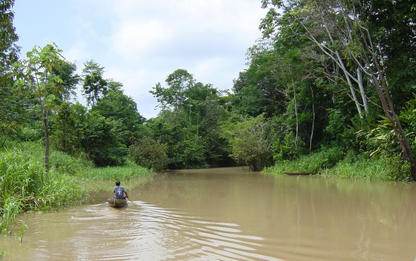 Longest rivers in the world Explore Amazing World