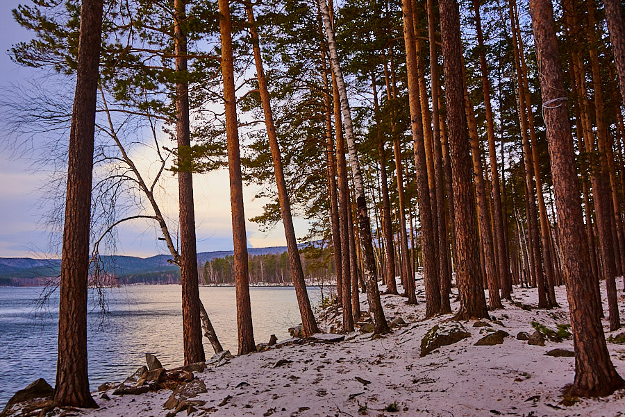 Зима близко