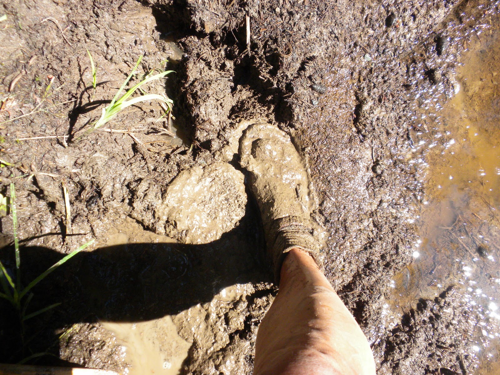 kdaanennfct Day 48, Aug. 20 The Infamous Mud Pond Carry