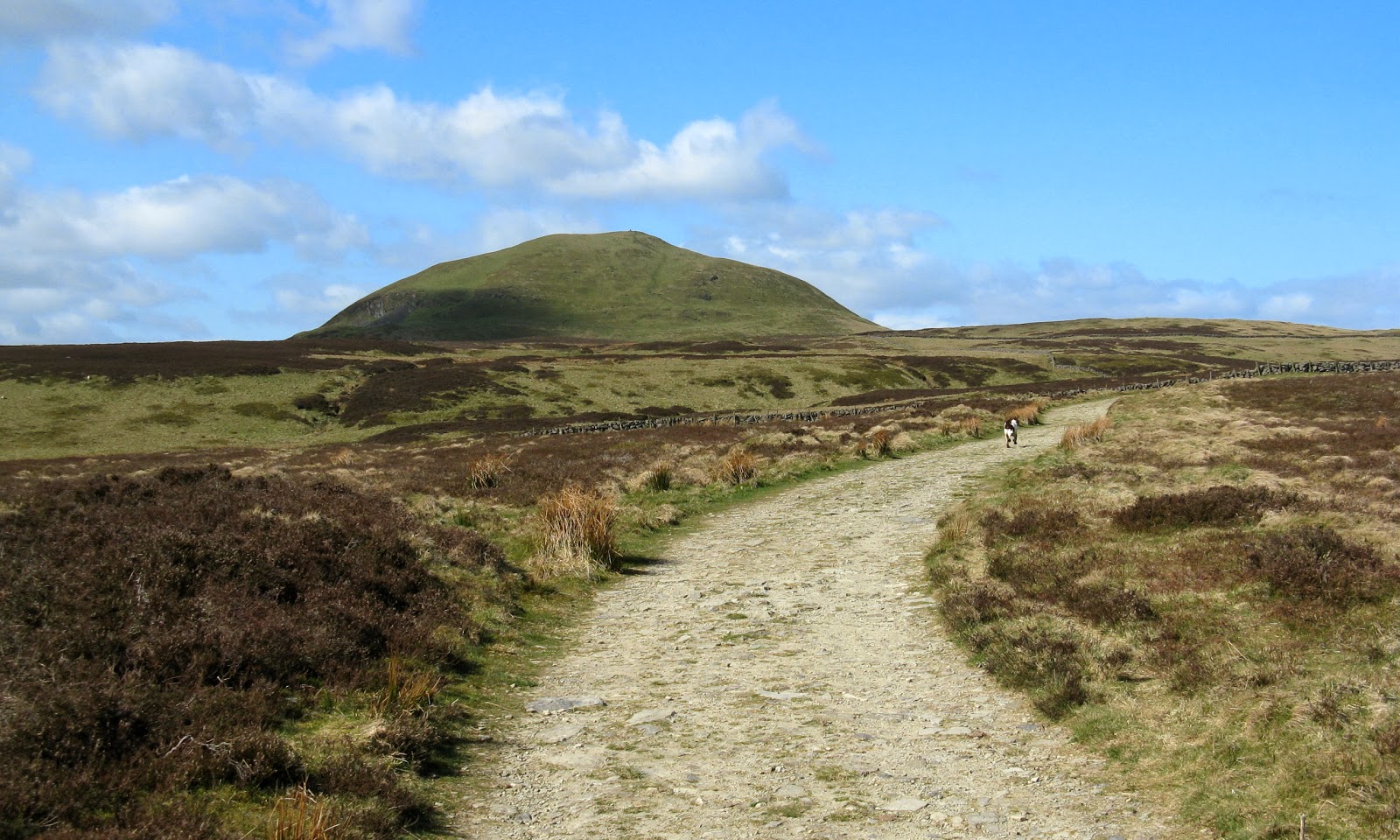 Neil's Hillwalking Exploits The Lomond Hills