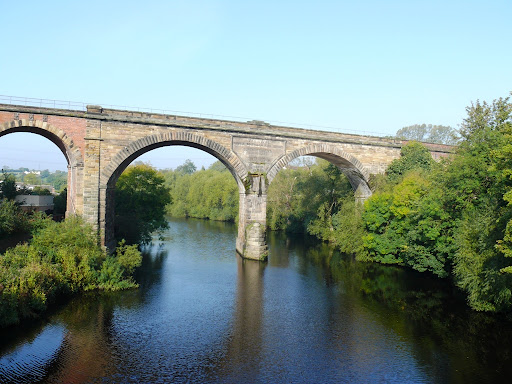 River tees meanders image