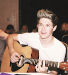 Niall Horan.