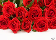 Red Roses Pictures (red roses )