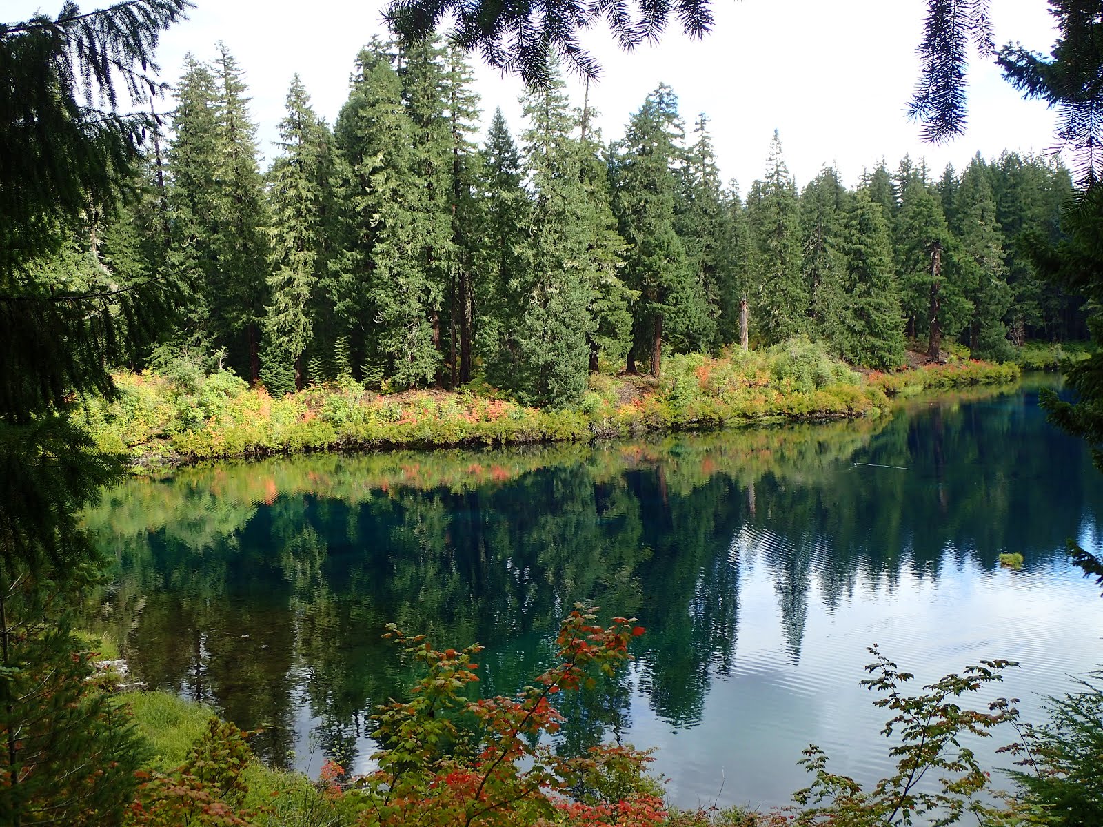 Casing Oregon Not Just Another Clear Lake