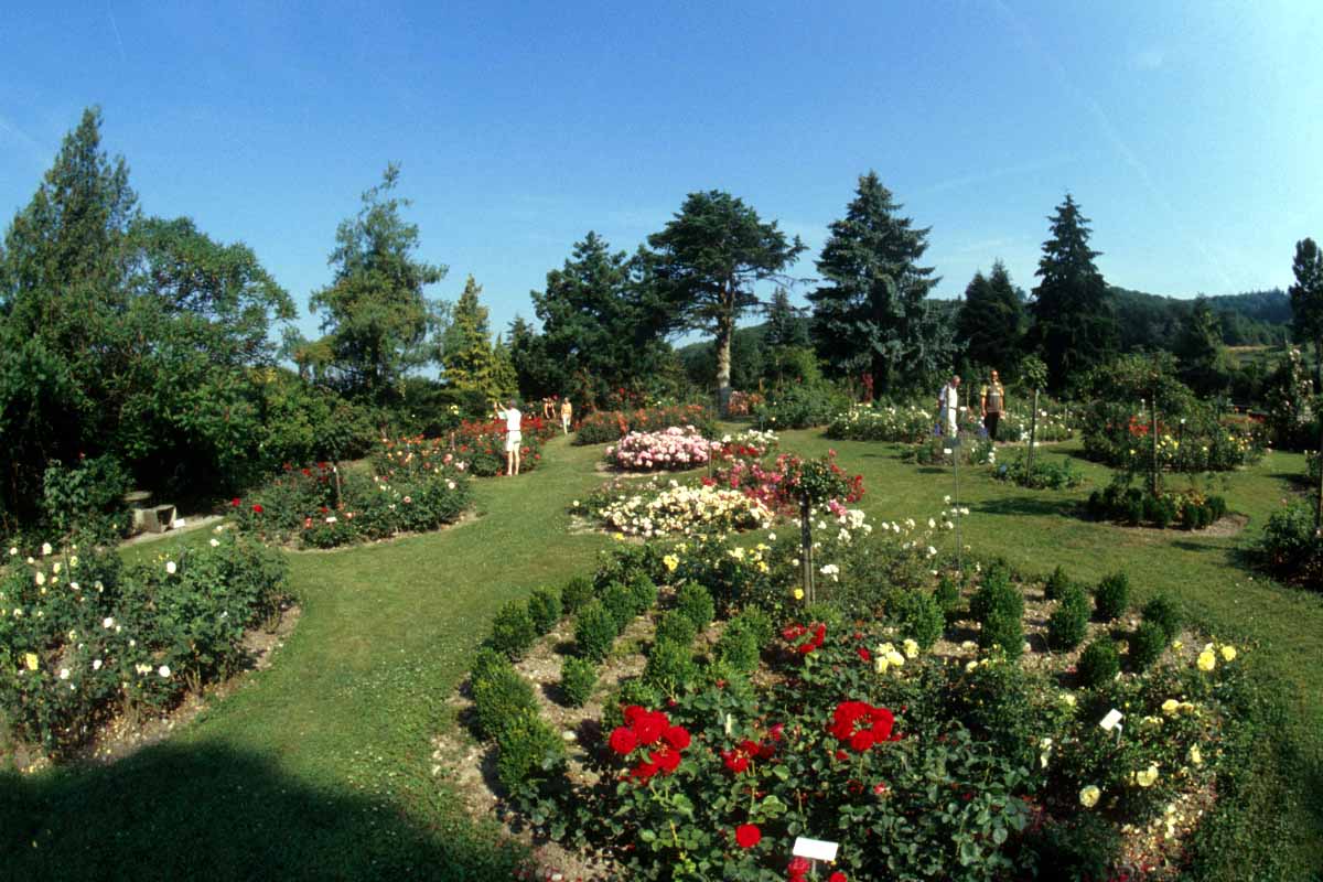 Flower Garden - Home Decorating