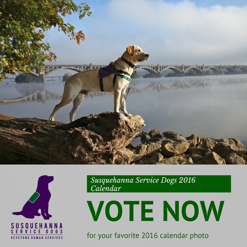 Susquehanna Service Dogs Vote for Your Favorite Photo for Susquehanna