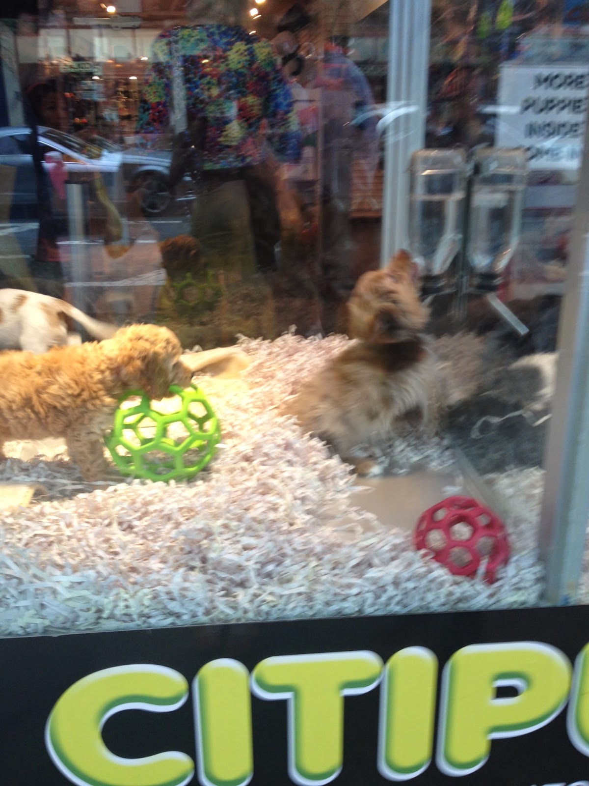 What the Clique July 2014