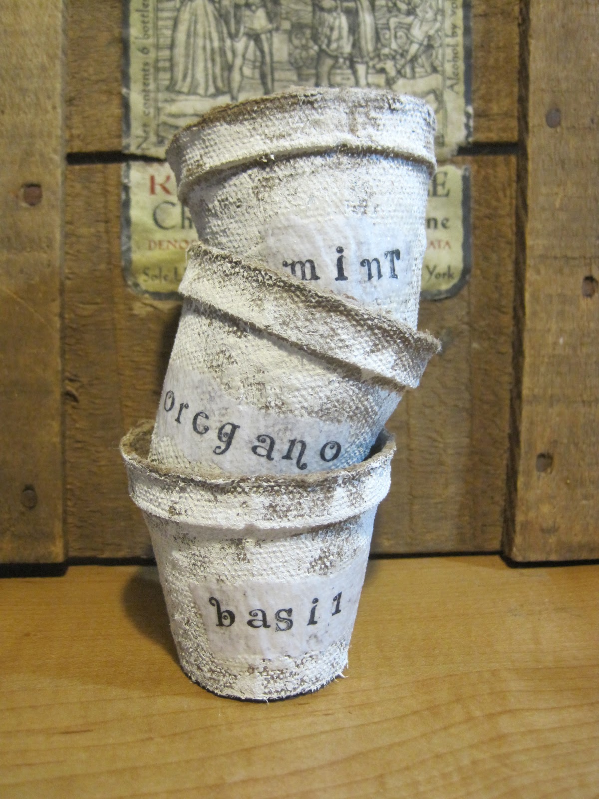 Dressed Up Seed Peat Pots Okio B Designs