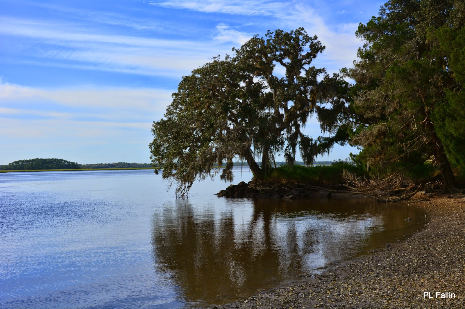 PL Fallin Photography A Hike to Tolomato River