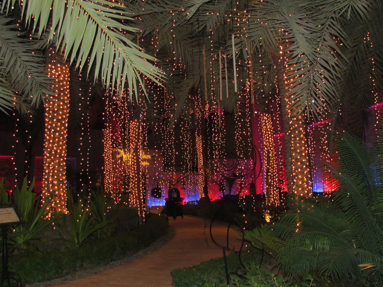 Amid the holiday lights | duluth to dubai.