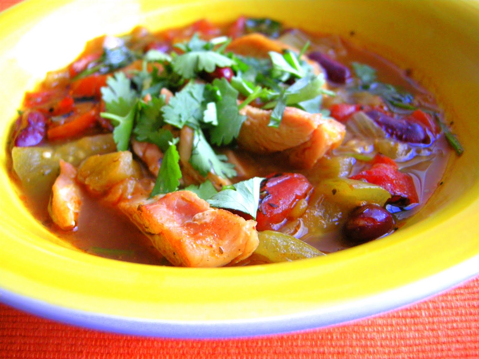 The Pink Cowgirl Southwestern Tomatillo Chicken Stew