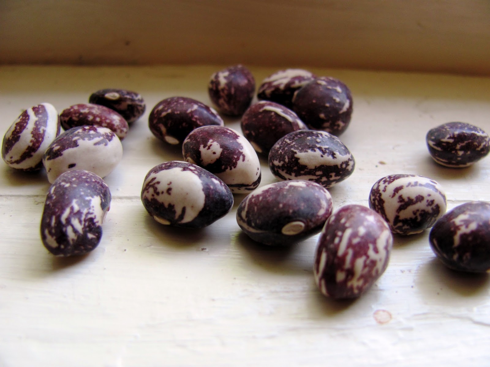 Sweet Domesticity Dry Beans