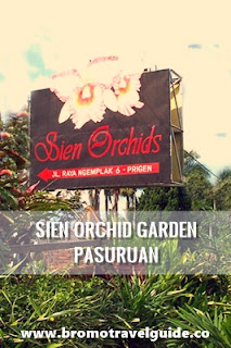 Sien Orchid Garden Pasuruan