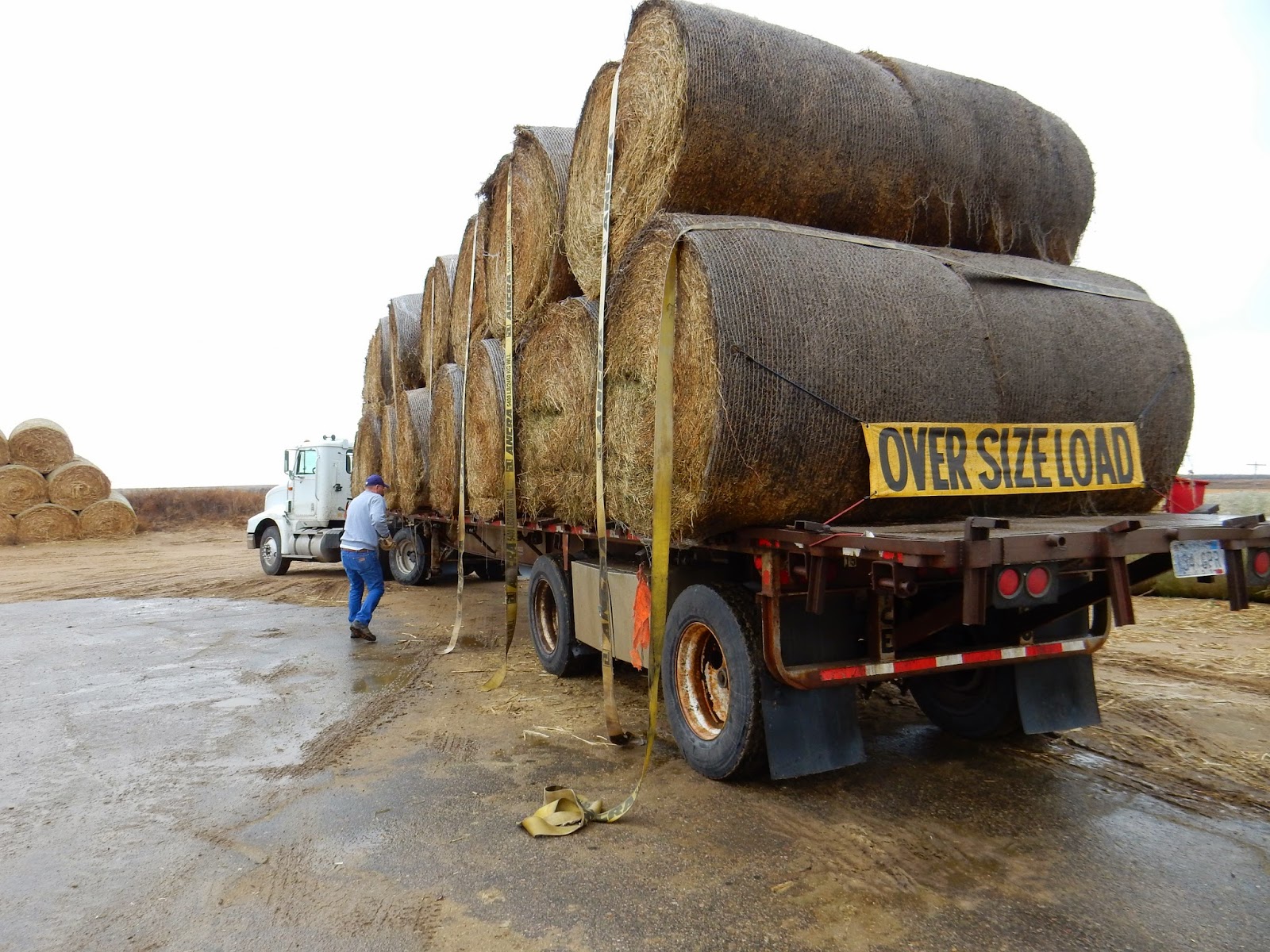 Kim's County Line Big Rig Journey