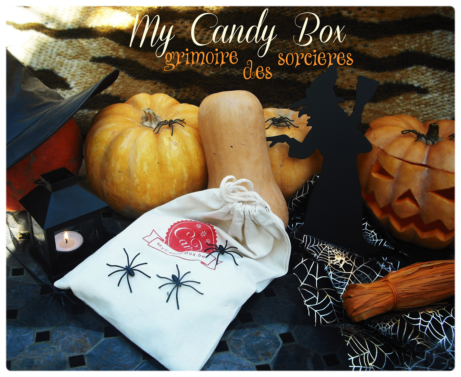 My Candy Box Grimoire des sorcières octobre 2014 Je veux tout