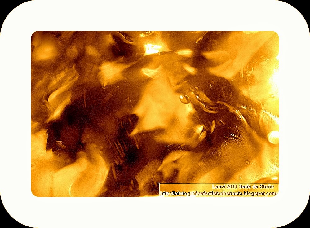 Foto Abstracta 3231 Delirios de otoño - Delusions of Autumn Foto Abstracta 3231 Delirios de otoño - Delusions of Autumn