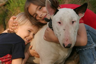 bull terrier with kids