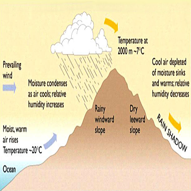 Hawaiian Time Machine Rain Shadows