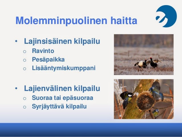 Lajinsisäinen kilpailu esimerkki