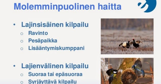 Lajinsisäinen kilpailu esimerkki