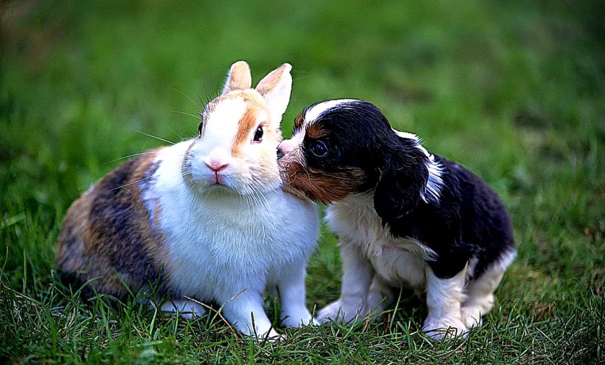 See the source image