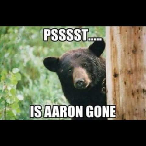 22 Meme Internet Psssst Is Aaron Gone Bears Aaron Rodgers Bear Hidden