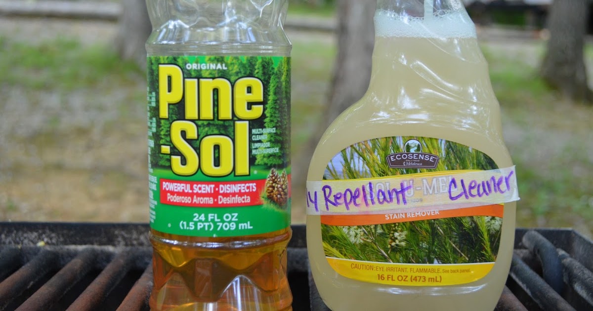 Chic Camping DIY Fly Repellent & Wasp Trap