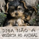 Amor aos Animais